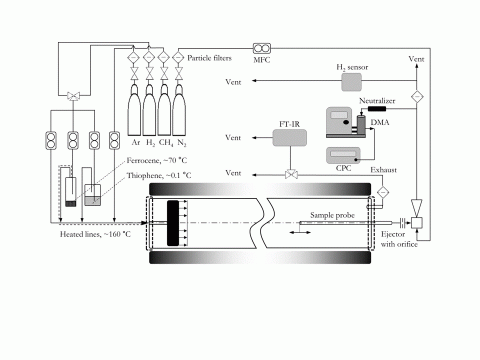 NT19-Fig 1