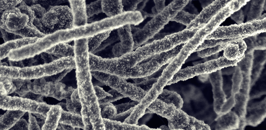 Nanotube clusters