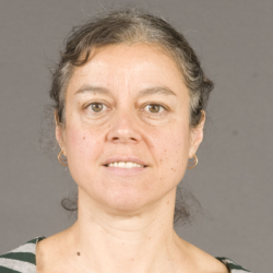 Professor Simone  Hochgreb