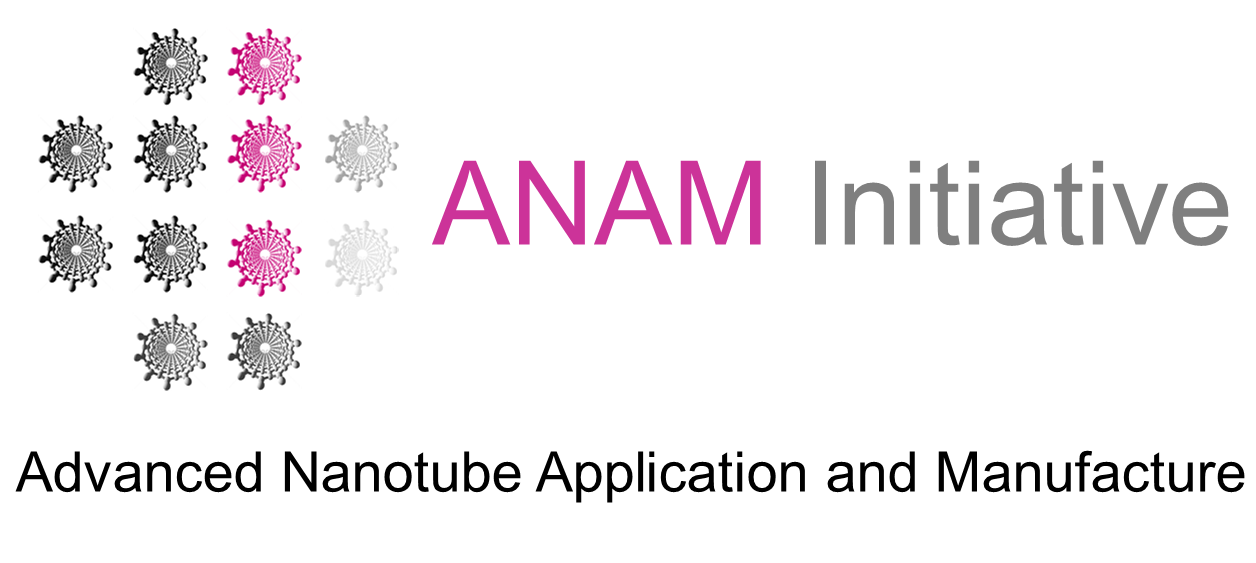 ANAM logo no txtx